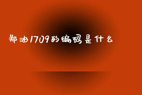 郑油1709的编码是什么_债券投资_第1张_财经时评_基金分析_期货交易_金融机构_外汇汇率_债券投资 郑油1709的编码是什么_https://wap.hpmsj.cn_债券投资_第1张