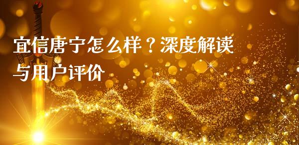 宜信唐宁怎么样？深度解读与用户评价_https://wap.hpmsj.cn_金融机构_第1张