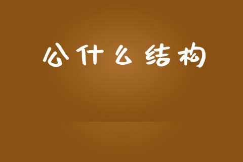 公什么结构_https://wap.hpmsj.cn_金融机构_第1张