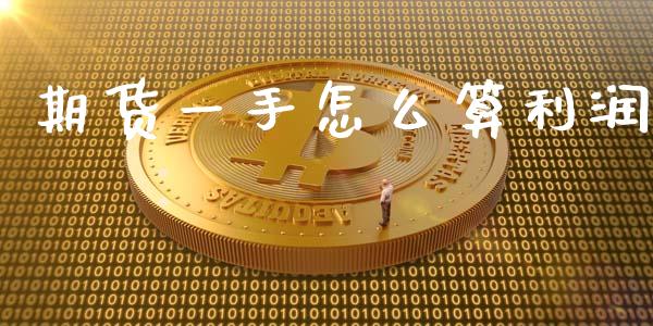 期货一手怎么算利润_https://wap.hpmsj.cn_期货交易_第1张