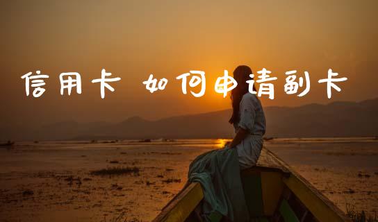 信用卡 如何申请副卡_https://wap.hpmsj.cn_债券投资_第1张