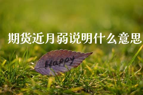 期货近月弱说明什么意思_https://wap.hpmsj.cn_外汇汇率_第1张