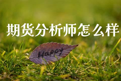 期货分析师怎么样_https://wap.hpmsj.cn_金融机构_第1张