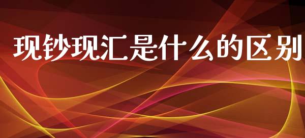 现钞现汇是什么的区别_https://wap.hpmsj.cn_基金分析_第1张