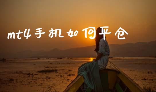 mt4手机如何平仓_https://wap.hpmsj.cn_金融机构_第1张