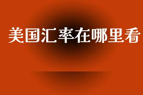 美国汇率在哪里看_https://wap.hpmsj.cn_债券投资_第1张