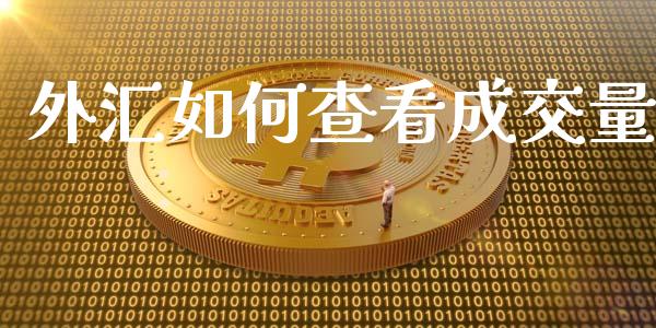外汇如何查看成交量_https://wap.hpmsj.cn_债券投资_第1张