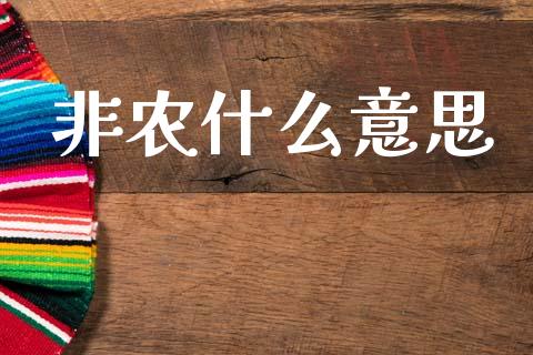 非农什么意思_https://wap.hpmsj.cn_外汇汇率_第1张
