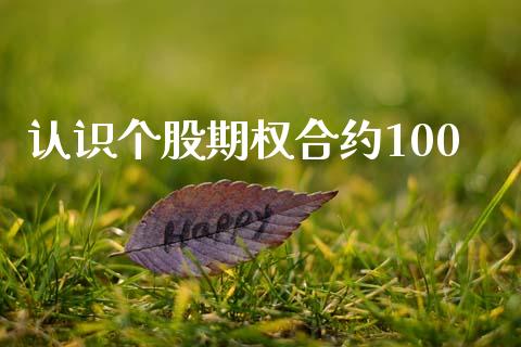 认识个股期权合约100_https://wap.hpmsj.cn_金融机构_第1张
