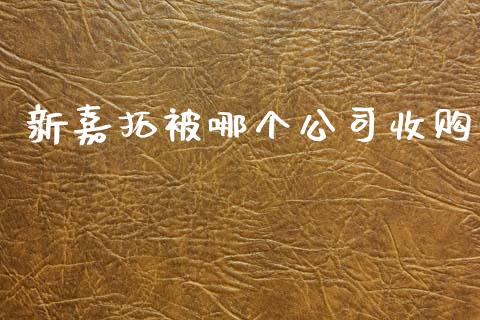 新嘉拓被哪个公司收购_https://wap.hpmsj.cn_基金分析_第1张