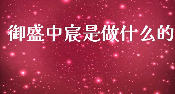 御盛中宸是做什么的_https://wap.hpmsj.cn_债券投资_第1张