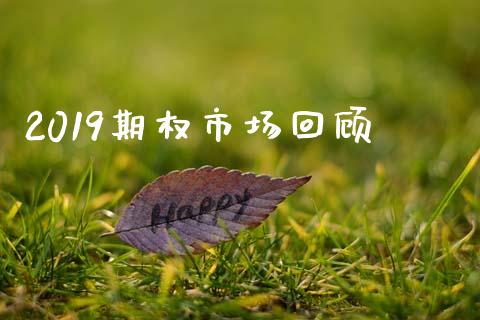 2019期权市场回顾_https://wap.hpmsj.cn_期货交易_第1张