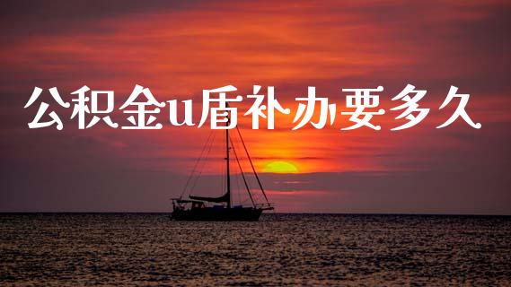公积金u盾补办要多久_https://wap.hpmsj.cn_债券投资_第1张