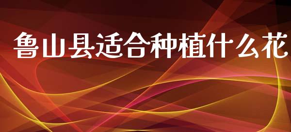鲁山县适合种植什么花_https://wap.hpmsj.cn_金融机构_第1张