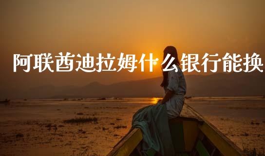 阿联酋迪拉姆什么银行能换_https://wap.hpmsj.cn_财经时评_第1张