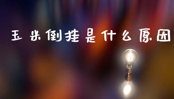 玉米倒挂是什么原因_https://wap.hpmsj.cn_基金分析_第1张