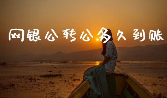 网银公转公多久到账_https://wap.hpmsj.cn_债券投资_第1张