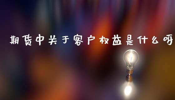 期货中关于客户权益是什么呀_https://wap.hpmsj.cn_基金分析_第1张