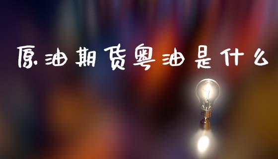 原油期货粤油是什么_https://wap.hpmsj.cn_基金分析_第1张