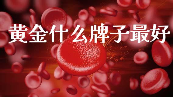 黄金什么牌子最好_https://wap.hpmsj.cn_基金分析_第1张