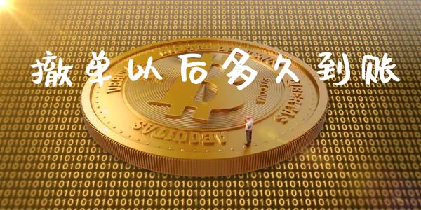 撤单以后多久到账_https://wap.hpmsj.cn_基金分析_第1张