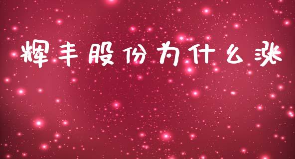 辉丰股份为什么涨_https://wap.hpmsj.cn_基金分析_第1张