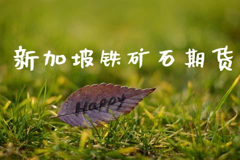 新加坡铁矿石期货_https://wap.hpmsj.cn_期货交易_第1张