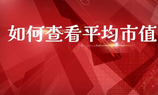 如何查看平均市值_https://wap.hpmsj.cn_债券投资_第1张