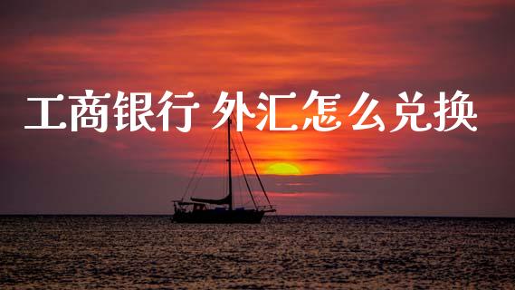 工商银行 外汇怎么兑换_https://wap.hpmsj.cn_债券投资_第1张
