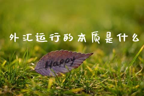 外汇运行的本质是什么_https://wap.hpmsj.cn_外汇汇率_第1张