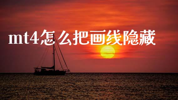 mt4怎么把画线隐藏_https://wap.hpmsj.cn_外汇汇率_第1张
