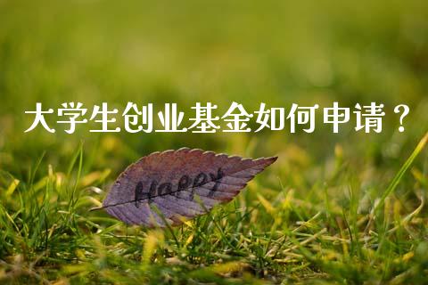 大学生创业基金如何申请？_https://wap.hpmsj.cn_基金分析_第1张
