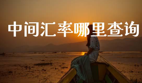 中间汇率哪里查询_https://wap.hpmsj.cn_基金分析_第1张