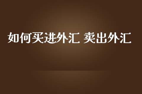 如何买进外汇 卖出外汇_https://wap.hpmsj.cn_期货交易_第1张