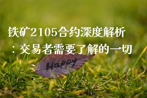 铁矿2105合约深度解析：交易者需要了解的一切_https://wap.hpmsj.cn_金融机构_第1张
