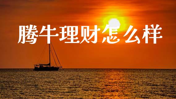 腾牛理财怎么样_https://wap.hpmsj.cn_基金分析_第1张