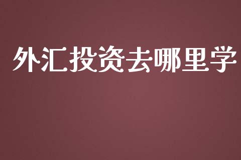 外汇投资去哪里学_https://wap.hpmsj.cn_金融机构_第1张