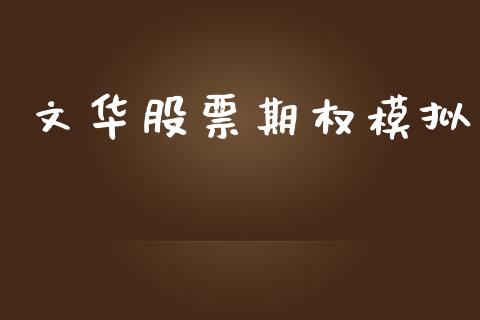 文华股票期权模拟_https://wap.hpmsj.cn_期货交易_第1张