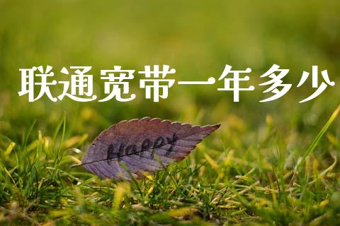 联通宽带一年多少_https://wap.hpmsj.cn_债券投资_第1张