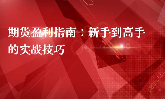 期货盈利指南：新手到高手的实战技巧_https://wap.hpmsj.cn_期货交易_第1张