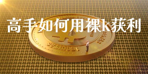 高手如何用裸k获利_https://wap.hpmsj.cn_债券投资_第1张