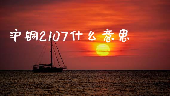 沪铜2107什么意思_https://wap.hpmsj.cn_财经时评_第1张
