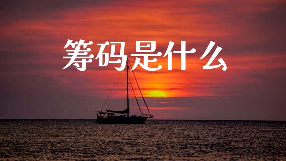 筹码是什么_https://wap.hpmsj.cn_外汇汇率_第1张