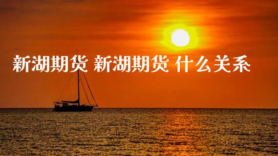 新湖期货 新湖期货 什么关系_https://wap.hpmsj.cn_财经时评_第1张