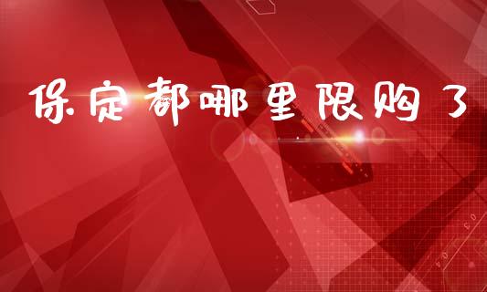 保定都哪里限购了_https://wap.hpmsj.cn_债券投资_第1张