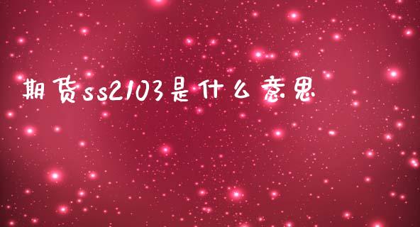 期货ss2103是什么意思_https://wap.hpmsj.cn_金融机构_第1张
