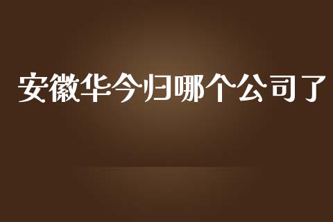 安徽华今归哪个公司了_https://wap.hpmsj.cn_外汇汇率_第1张