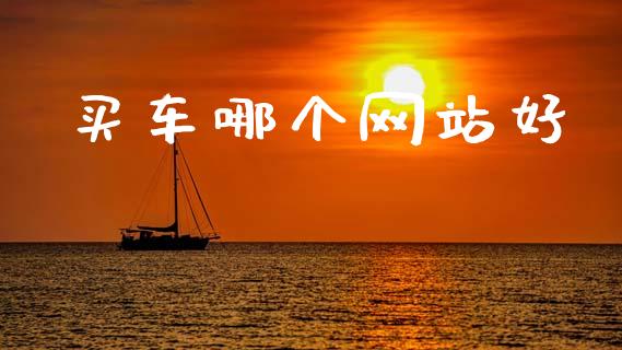 买车哪个网站好_https://wap.hpmsj.cn_债券投资_第1张