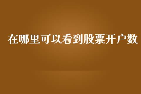 在哪里可以看到股票开户数_https://wap.hpmsj.cn_期货交易_第1张
