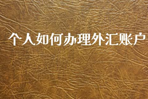 个人如何办理外汇账户_https://wap.hpmsj.cn_债券投资_第1张